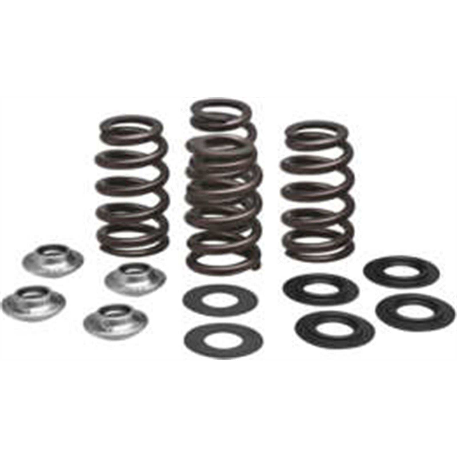 KPMI Racing Valve Spring Kit [MPN: 96-96500]_137750