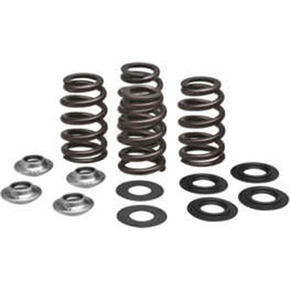KPMI Racing Valve Spring Kit [MPN: 96-96500]_137750