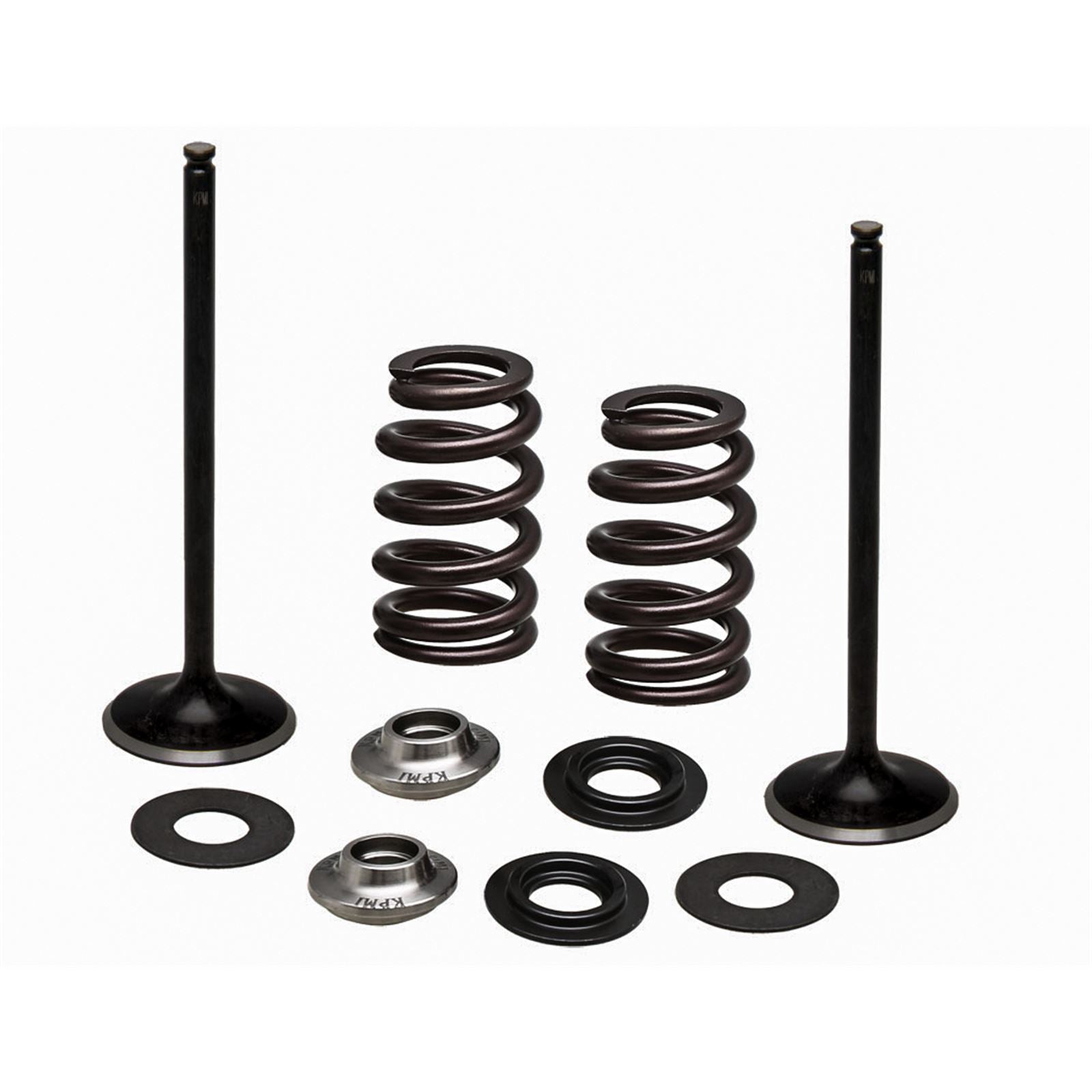 KPMI Stainless Steel Intake Valve/Spring Kit [MPN: 96-96540]_137882