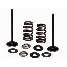 KPMI Stainless Steel Intake Valve/Spring Kit [MPN: 96-96540]_137882