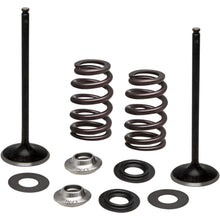 KPMI Stainless Steel Intake Valve/Spring Kit [MPN: 96-96540]_407461