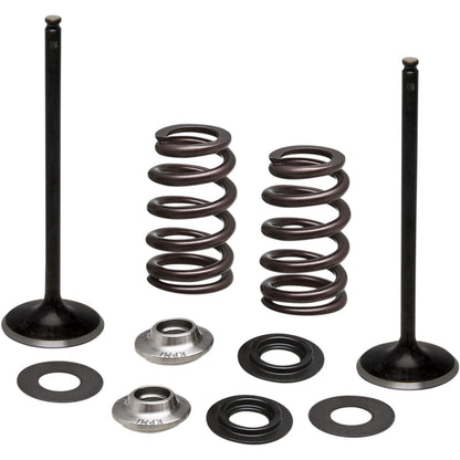 KPMI Stainless Steel Intake Valve/Spring Kit [MPN: 96-96540]_407461