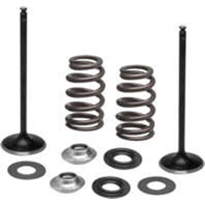 KPMI Stainless Steel Intake Valve/Spring Kit [MPN: 96-96540]_137883