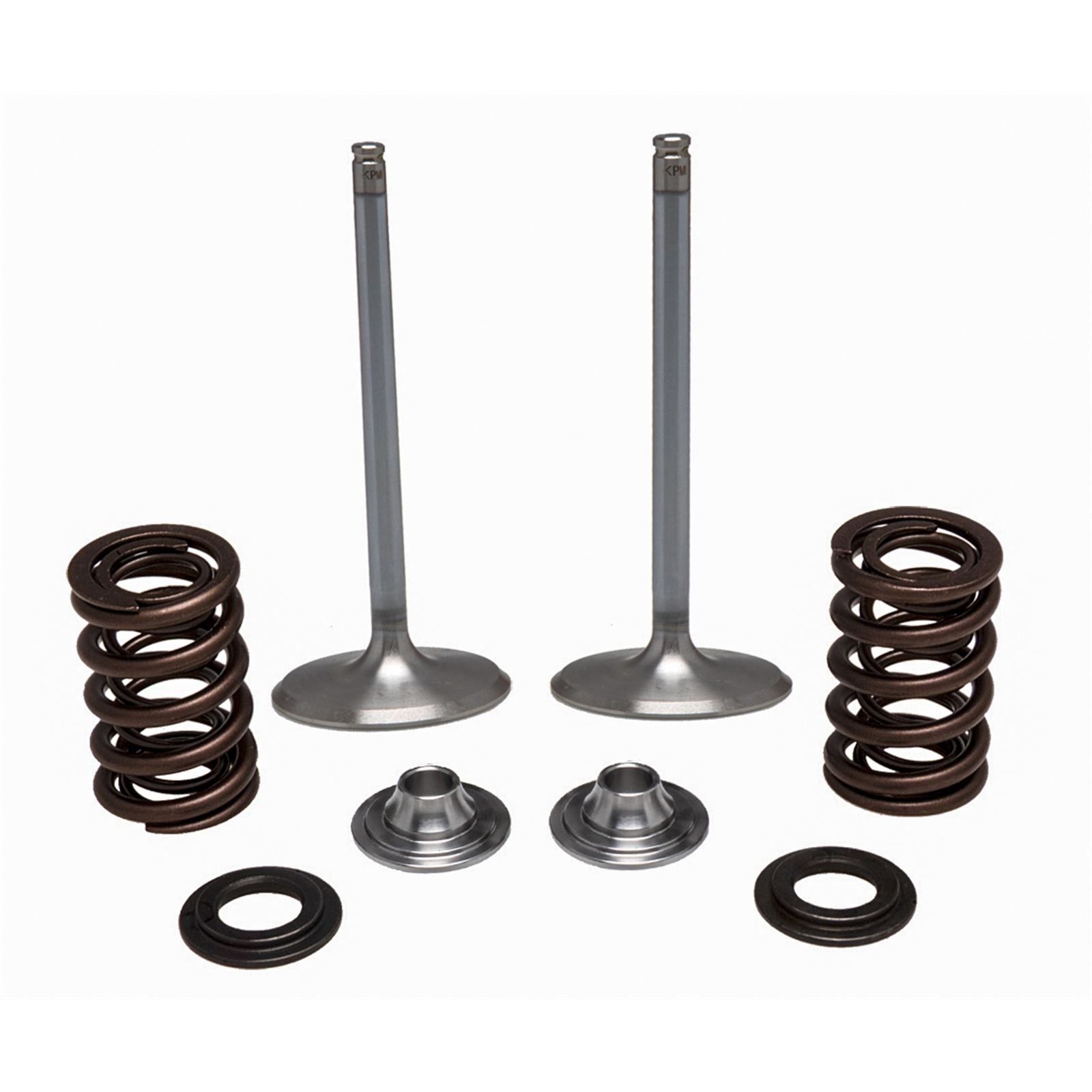 KPMI Stainless Steel Intake Valve/Spring Kit [MPN: 40-41450]_137949
