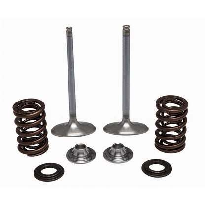 KPMI Stainless Steel Intake Valve/Spring Kit [MPN: 40-41450]_137949