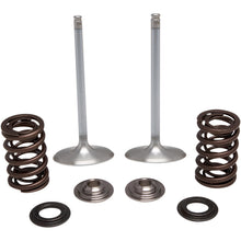 KPMI Stainless Steel Intake Valve/Spring Kit [MPN: 40-41450]_407505