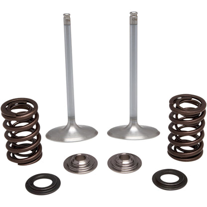 KPMI Stainless Steel Intake Valve/Spring Kit [MPN: 40-41450]_407505