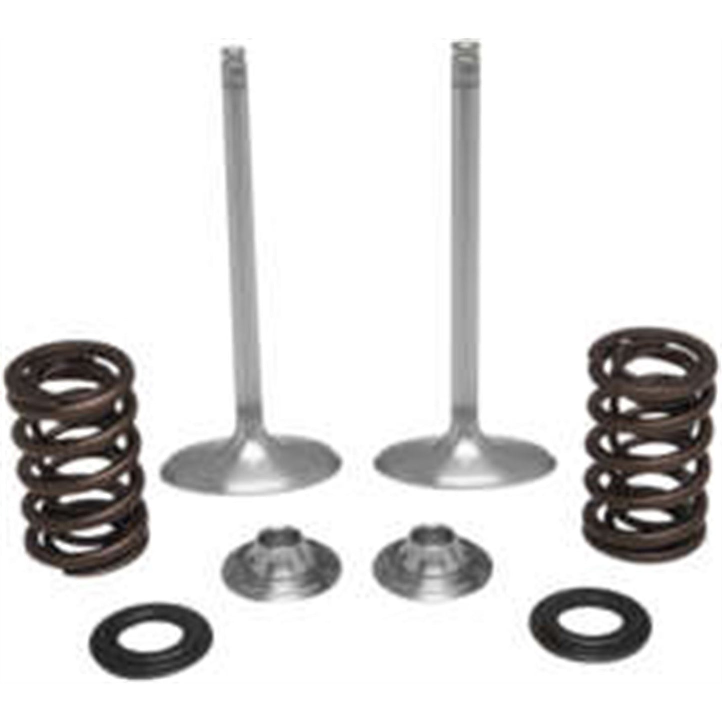 KPMI Stainless Steel Intake Valve/Spring Kit [MPN: 40-41450]_137950