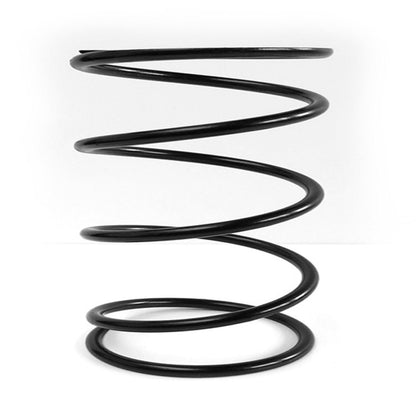 EPI Clutch Spring PEBS29_564386