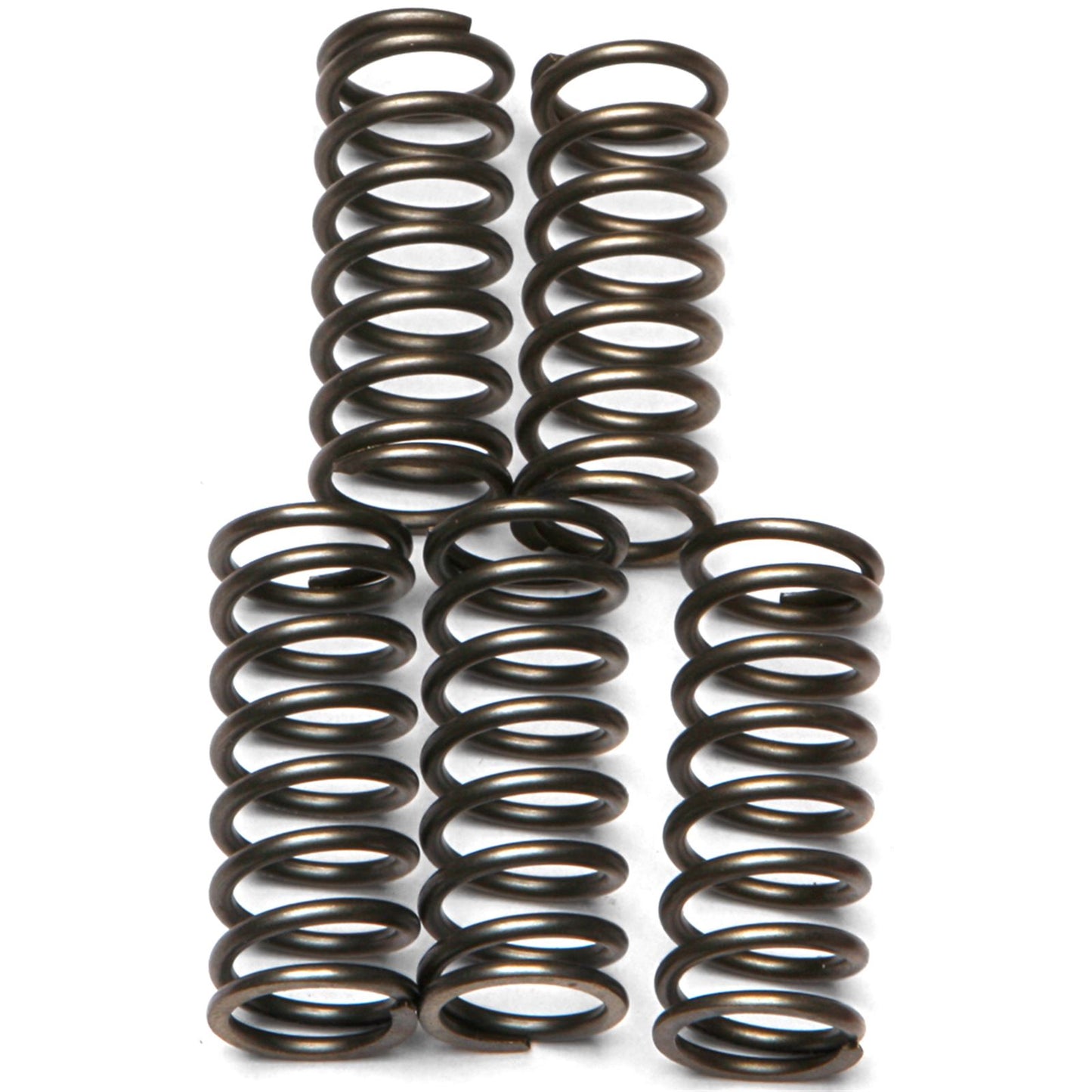 EBC Brakes Clutch Spring Kit  CSK121_139333