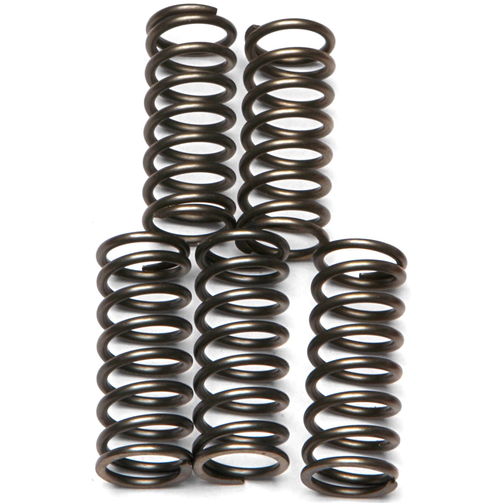 EBC Brakes Clutch Spring Kit  CSK121_139333
