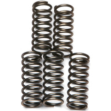 EBC Brakes Clutch Spring Kit  CSK121_139333