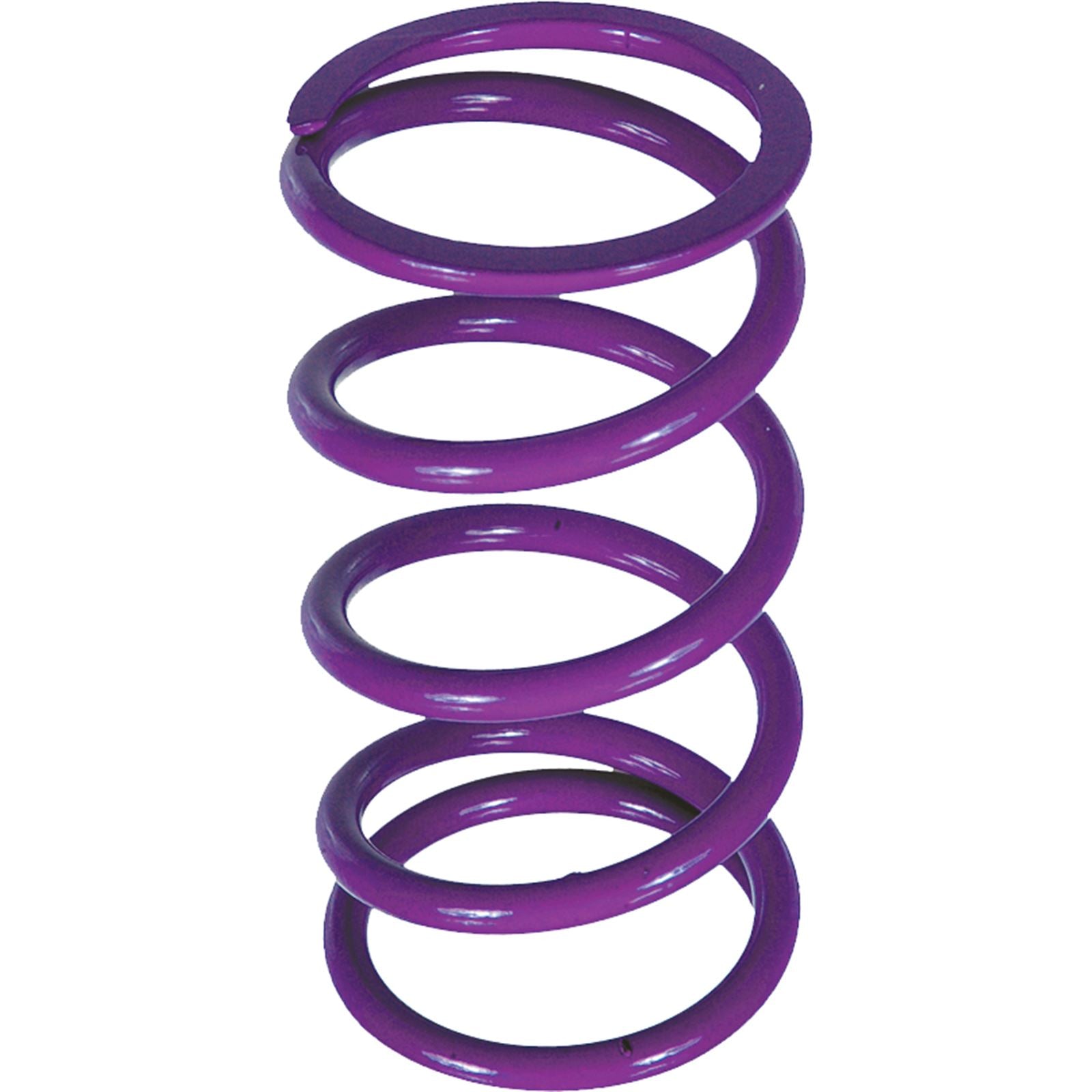 EPI Clutch Spring for Polaris  PDS-6_139377