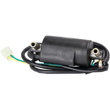 Ricks Ignition Coil [MPN: 23-107]_465197