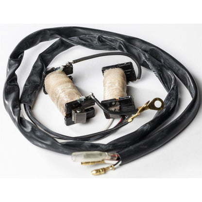 Ricks Stator Kit [MPN: 22-780]_140675