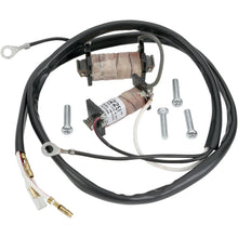 Ricks Stator Kit [MPN: 22-780]_465419