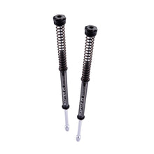 Harddrive Scepter Fork Kit FLT 49mm R0900108-1_141491