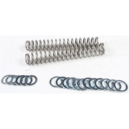 Race Tech Fork Spring 1.1kg [MPN: FRSP S3825110]_141891