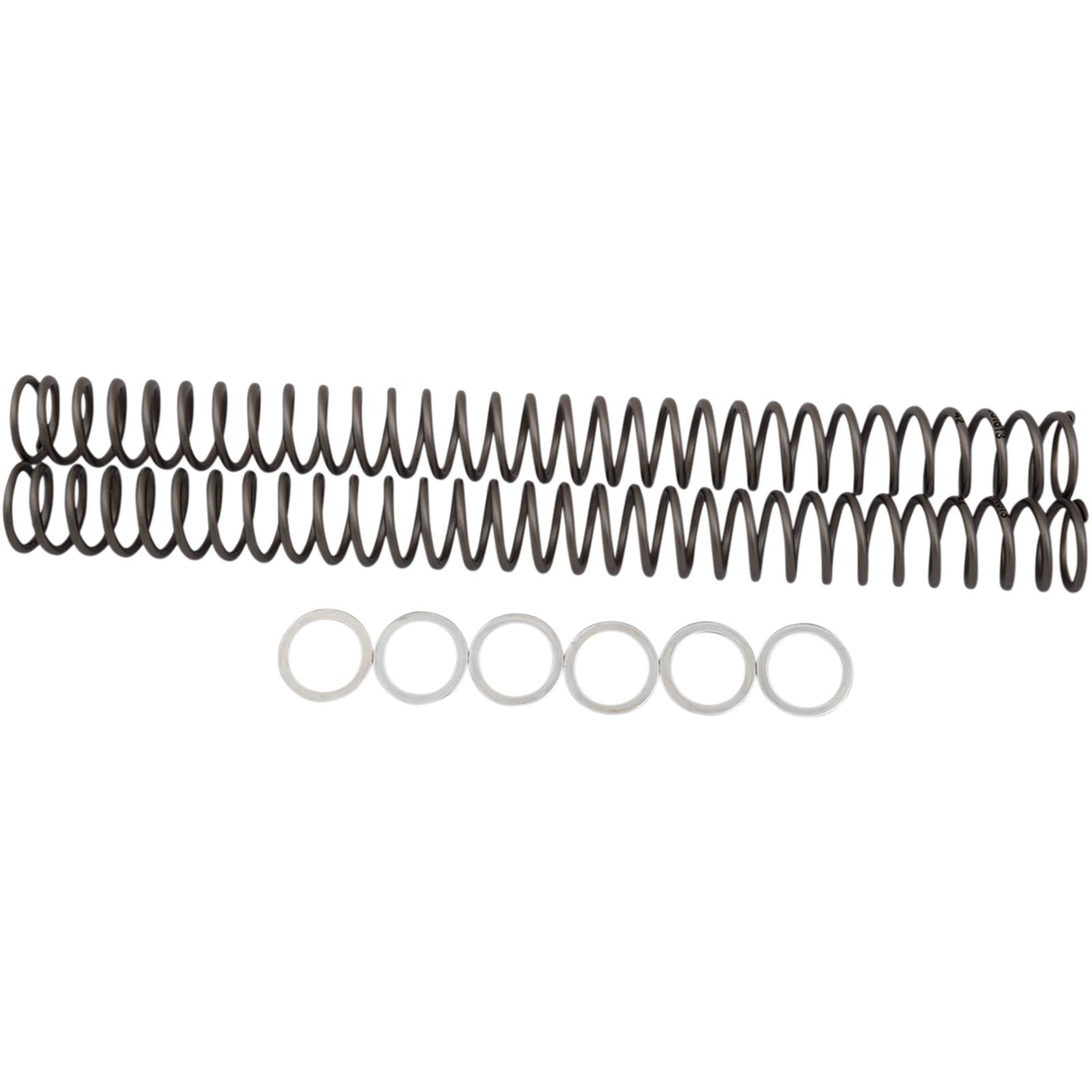 Race Tech .42 kg/mm Fork Springs [MPN: FRSP 414642]_462459
