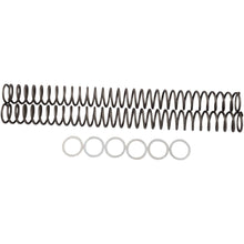 Race Tech .42 kg/mm Fork Springs [MPN: FRSP 414642]_462459
