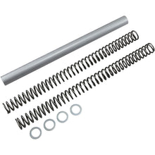 Race Tech .42 kg/mm Fork Springs [MPN: FRSP 364742]_462448