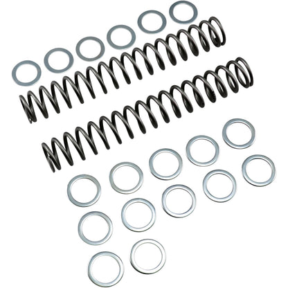 Race Tech Fork Spring 0.9kg [MPN: FRSP S3825090]_462052