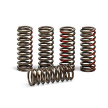 Pro Circuit Clutch Springs CRF250R '18 [MPN: CSH18250-CS]_142835