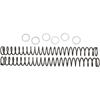 Race Tech Fork Spring 0.38kg [MPN: FRSP 444538]_462058