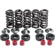 KPMI Valve Spring Kit WR/YZ400-26 [MPN: 80-80100]_406829