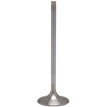 KPMI White Diamond Exhaust Valve [MPN: 60-60516H]_150344