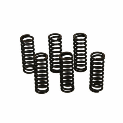 Wiseco - Powersports Clutch Spring Kit for Honda CR250R/CRF450R/TRX450  CSK006_1464587