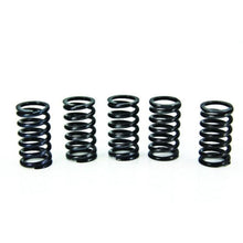 ProX Clutch Spring Kit YFZ450 '04-06 17.CS24038_1148868
