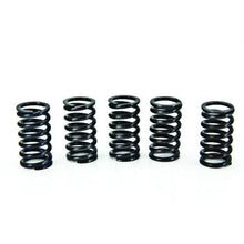 ProX Clutch Spring Kit DR-Z400'00-09 + LT-Z400 '03-09 17.CS44019_1129978