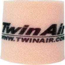 Twin Air Air Filter 150319_486136