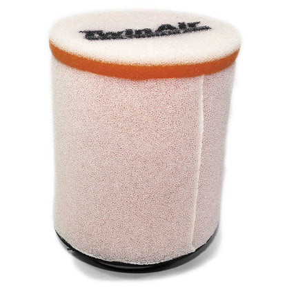 Twin Air Air Filter 150915_192864