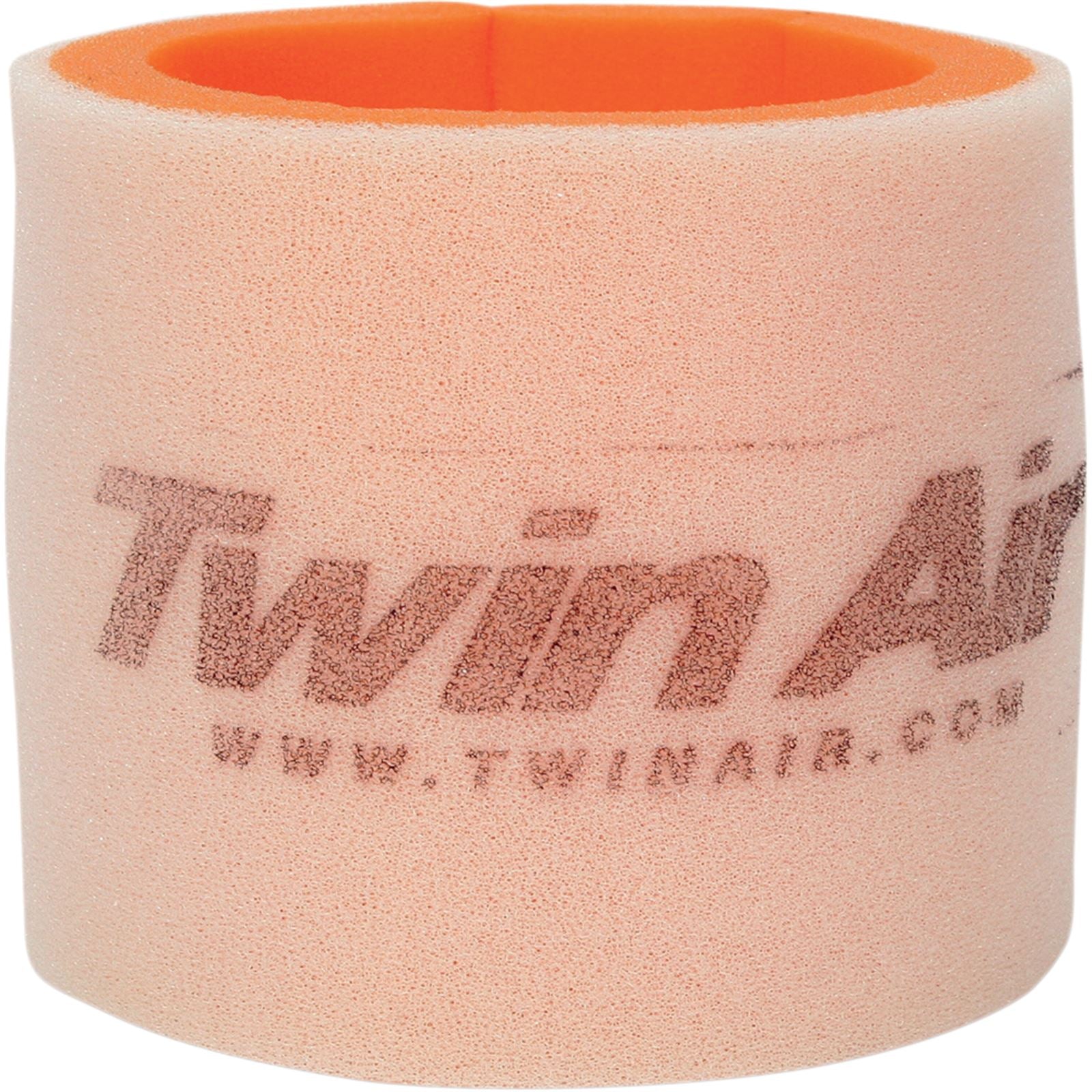 Twin Air Air Filter 151606_486250