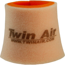 Twin Air Air Filter 151606_192884