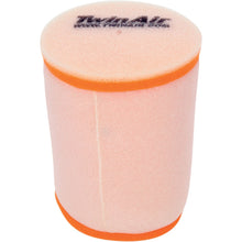 Twin Air Air Filter 151801_486151