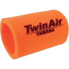Twin Air Air Filter 152612_485839