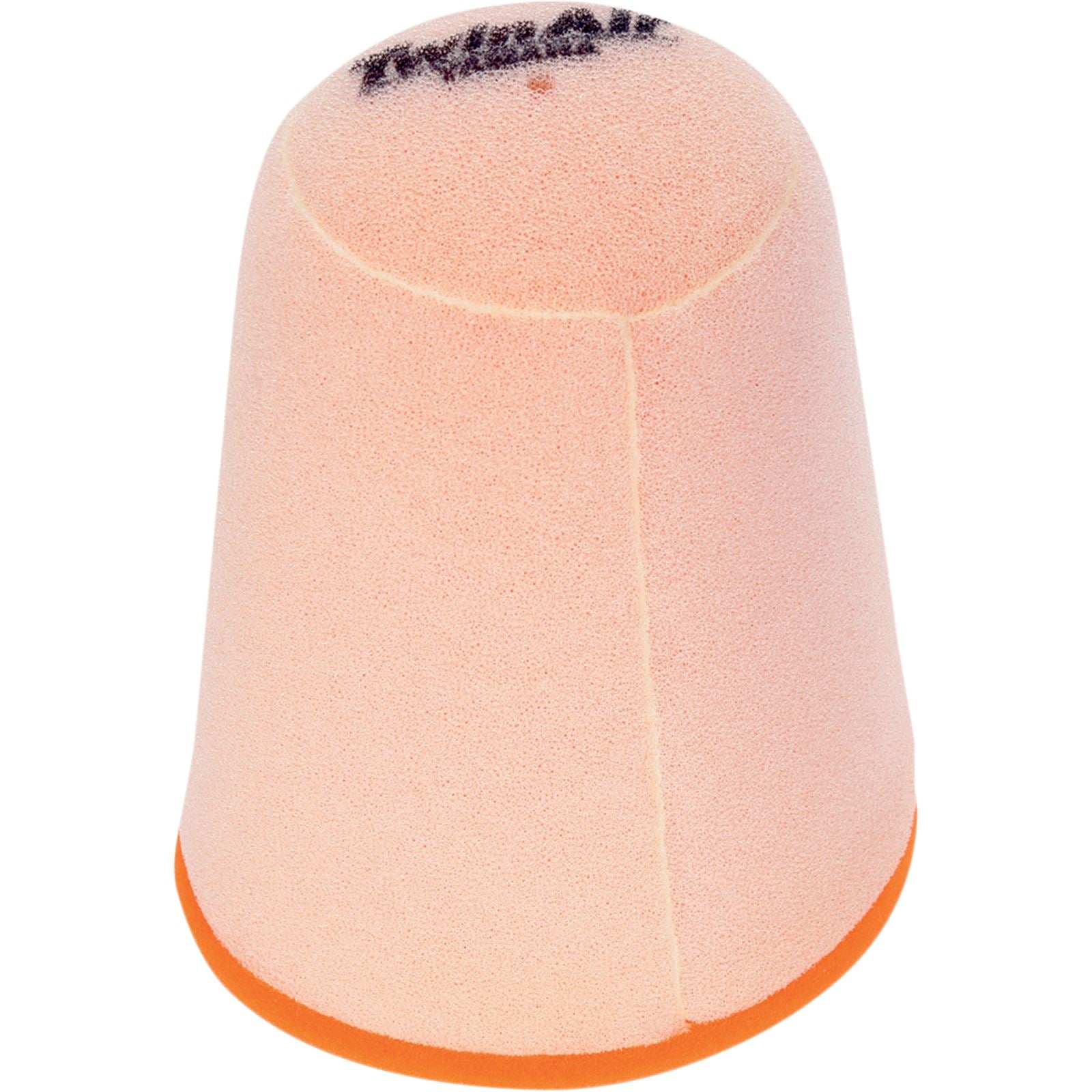 Twin Air Air Filter 152902_485827