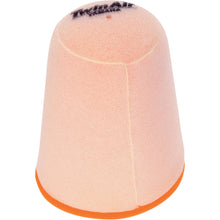 Twin Air Air Filter 152902_485827