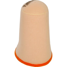 Twin Air Air Filter 152902_192913