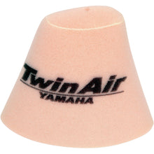 Twin Air Air Filter 152904_486166