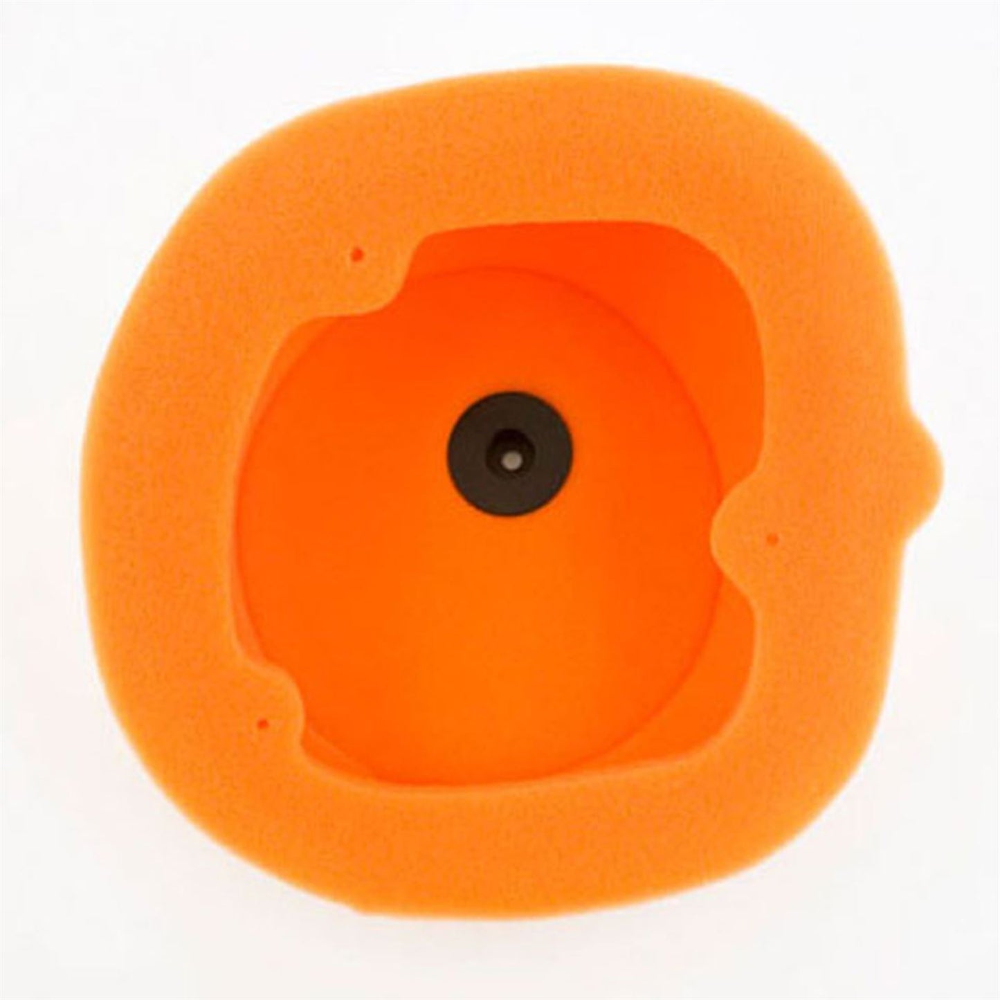 Twin Air Air Filter 154114_566661