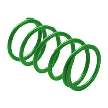 EPI Erlandson Clutch Spring for Kymco- Green KDS3_573570