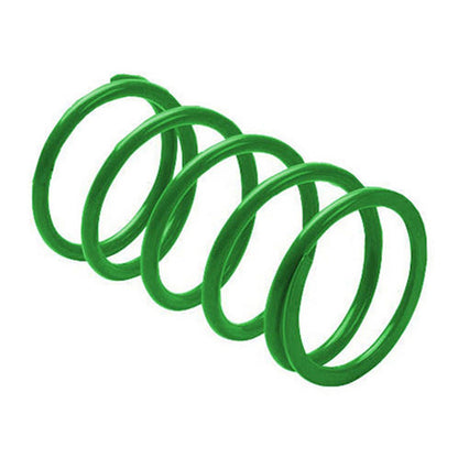 EPI Erlandson Clutch Spring - Green YDS4_573595
