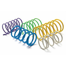 EPI Primary Clutch Spring - Silver PEBS20_573780