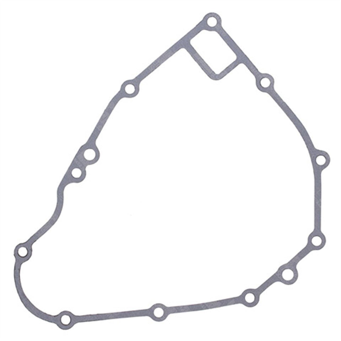 Vertex Ignition Cover Gasket 816119_579129