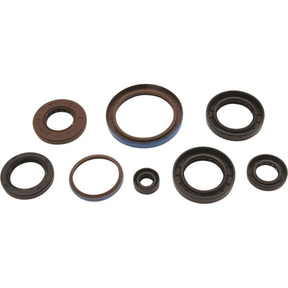 Vertex Engine Oil Seal Kit for Arctic Cat/for Textron 822381_1084190