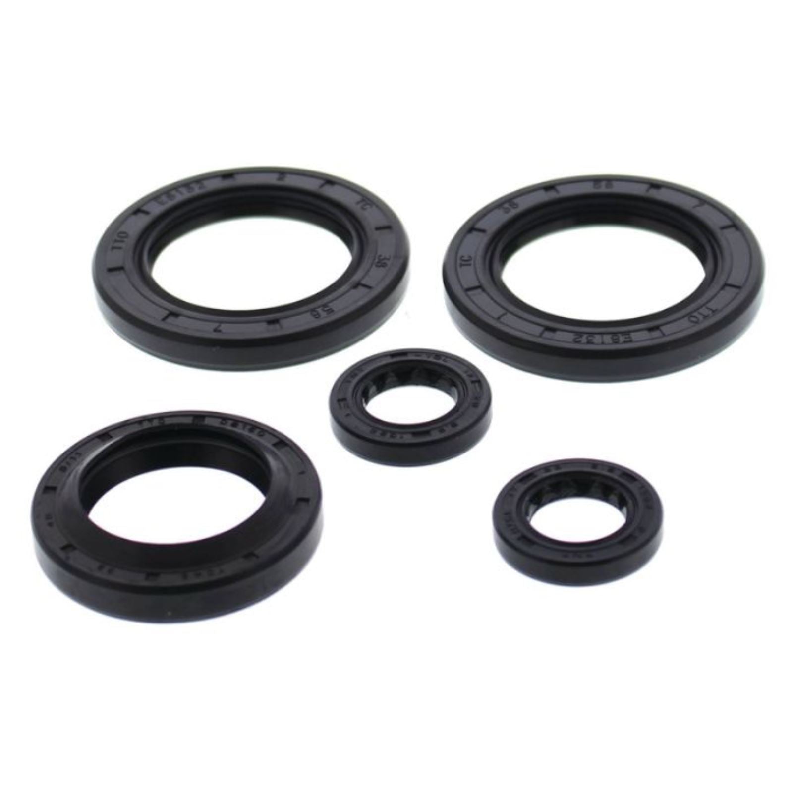 Vertex Engine Oil Seal Kit for Ranger 500 4x4 (20) 822144_1373223